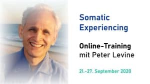 Somatic Experiencing Online-Training mit Peter Levine