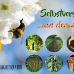 Selbstversorgt aus dem Garten - Online Kongress von Iris Zimmer im Juni 2022