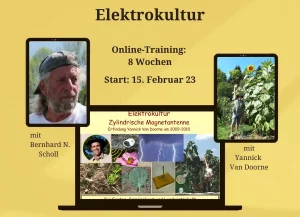Elektrokultur - Das 8-Wochen-Starter-Training mit Yannick van Doorne