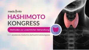 Hashimoto Kongress von Medumio
