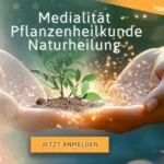 Die Reise Deines Lebens 2025 von Judith Haferland