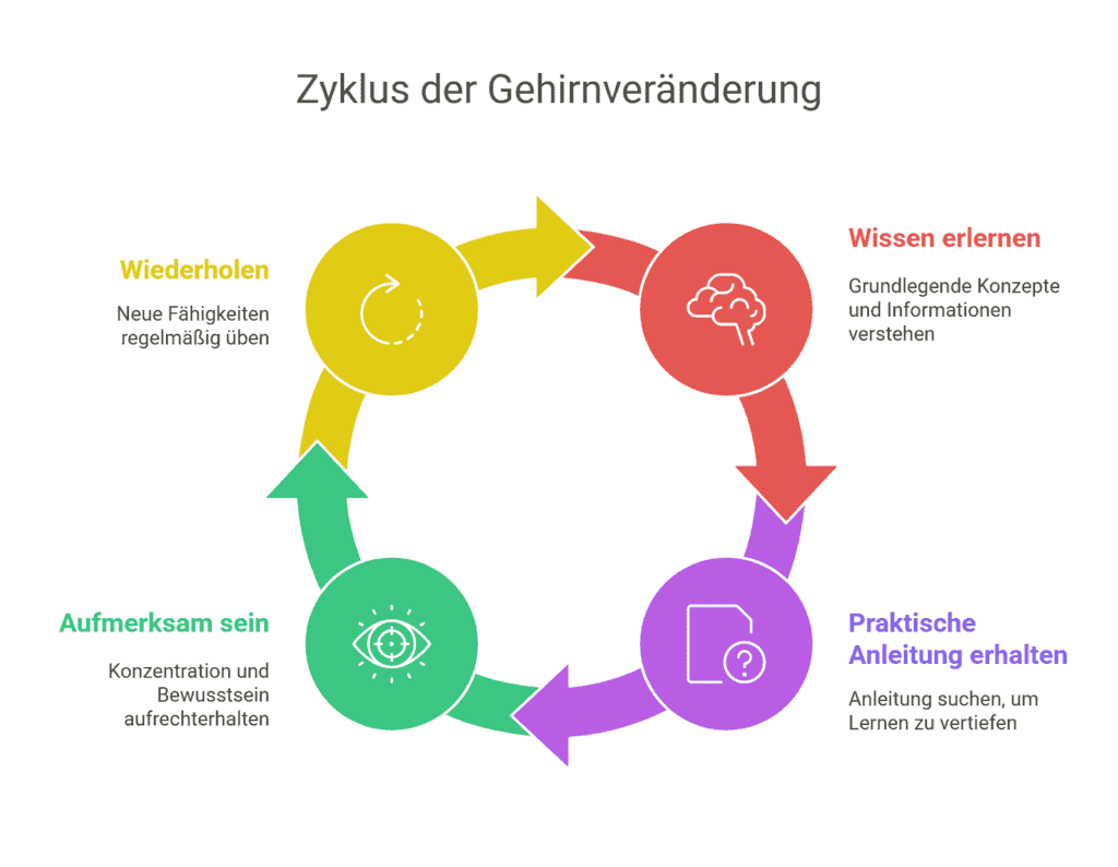 Der Zyklus der Gehirnveränderung, wie Joe Dispenza ihn beschreibt